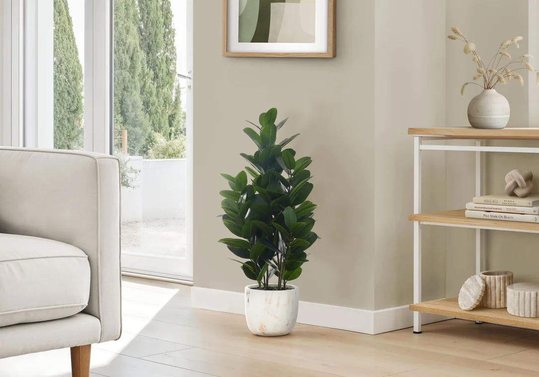 dreameehome12351869