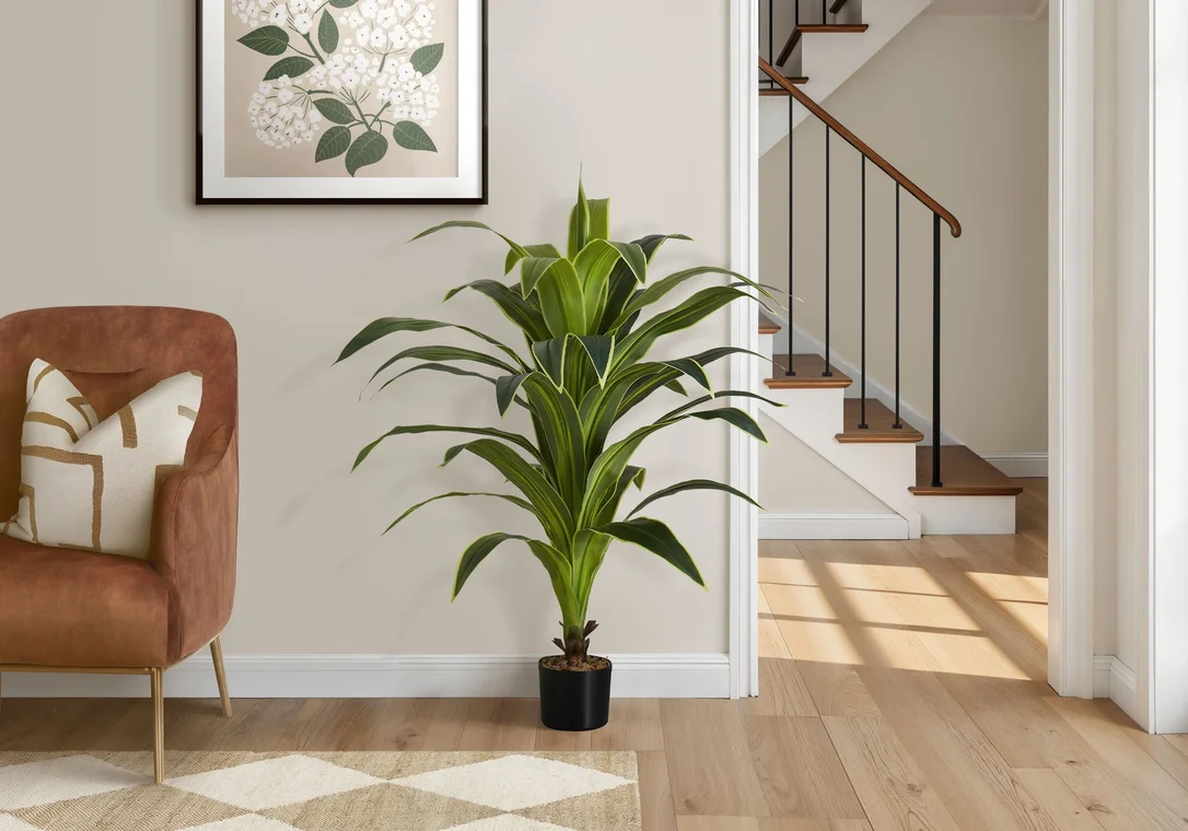 dreameehome12357476