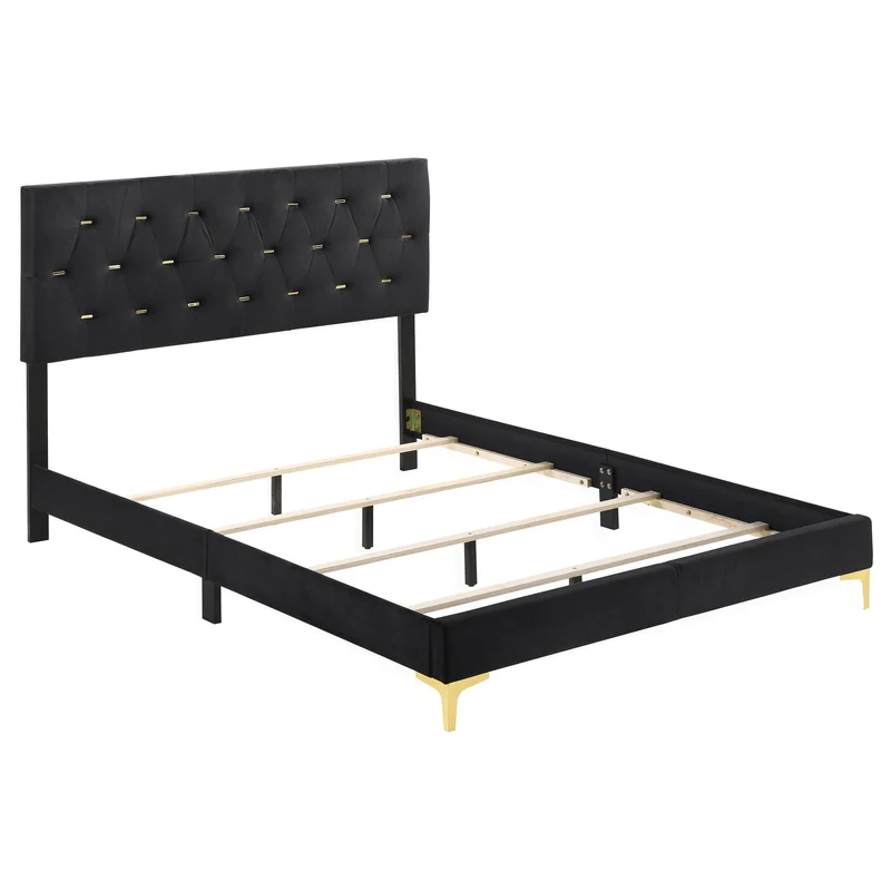 dreameehome3161701