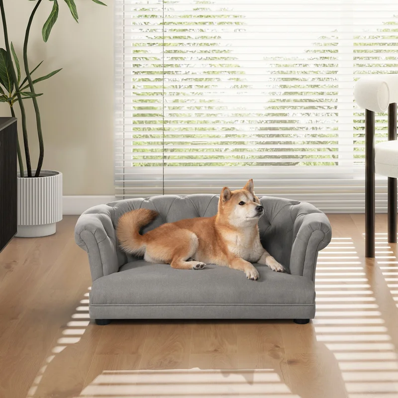 dreameehome3260957