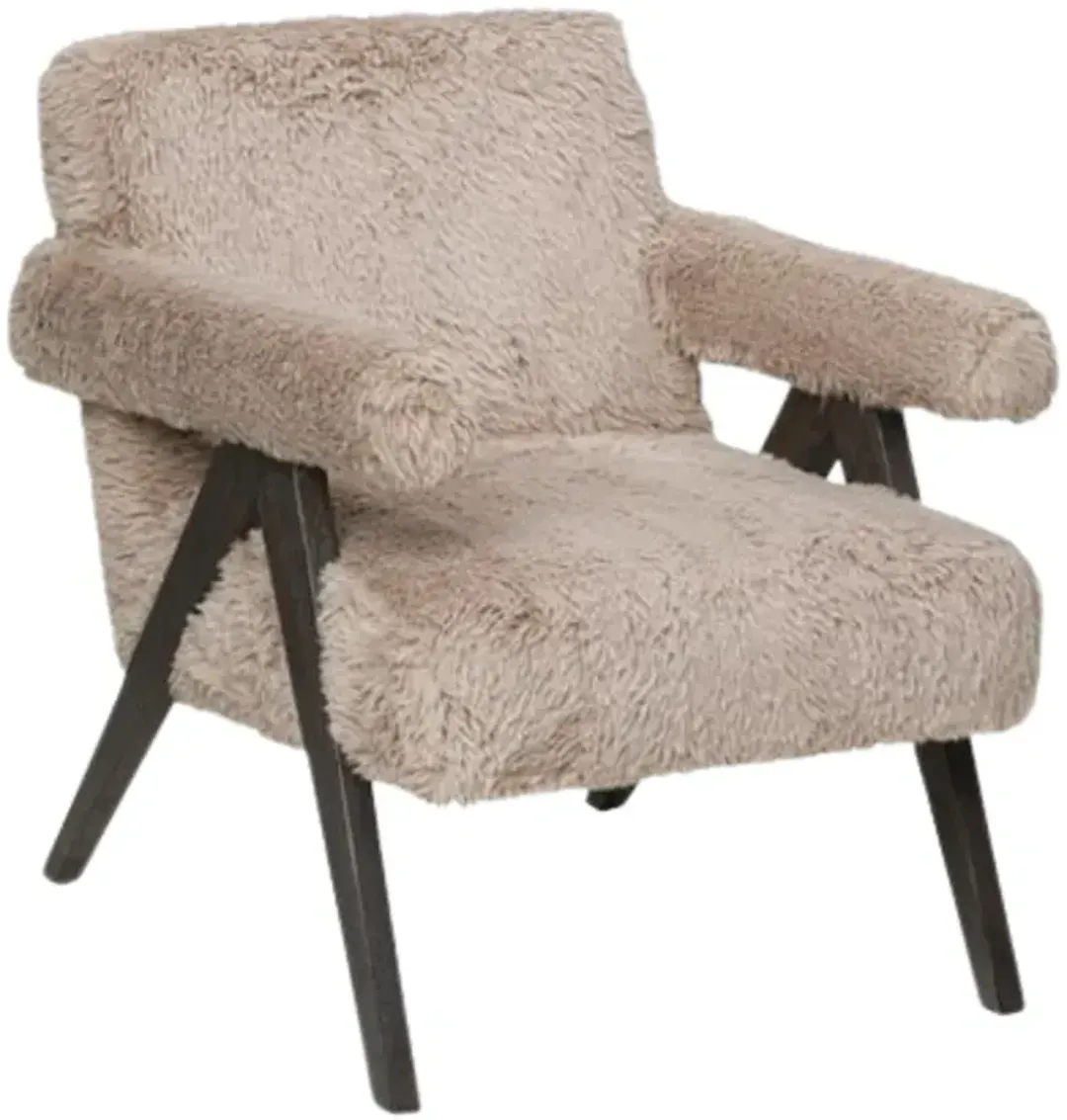 furniture2-316704