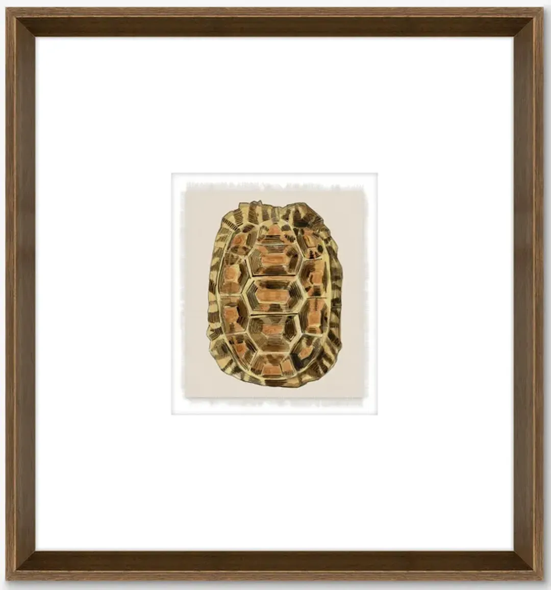 furniture3-284151