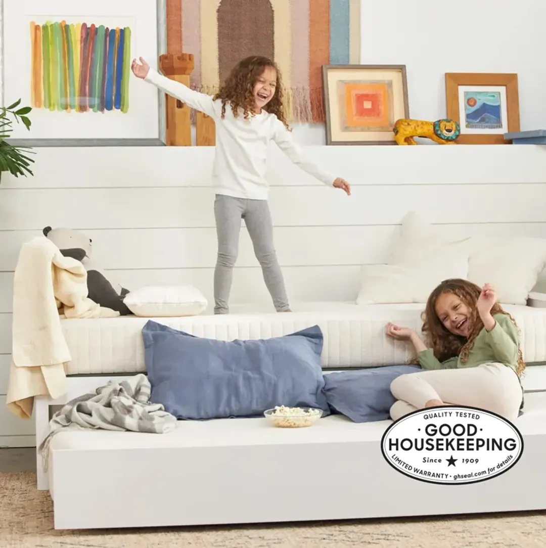 furniture4-484299