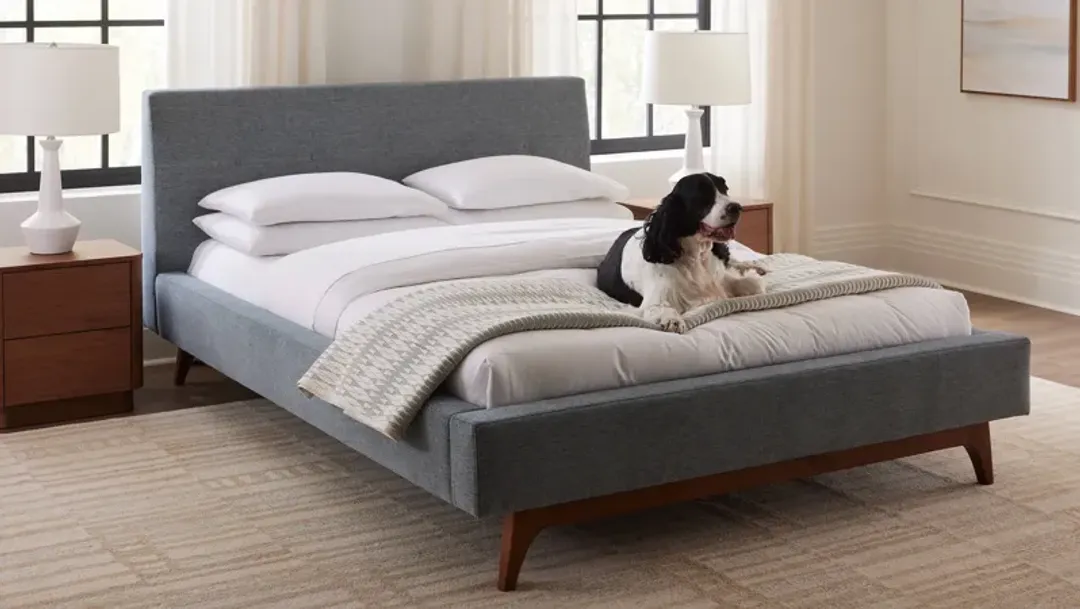furniture4-495223