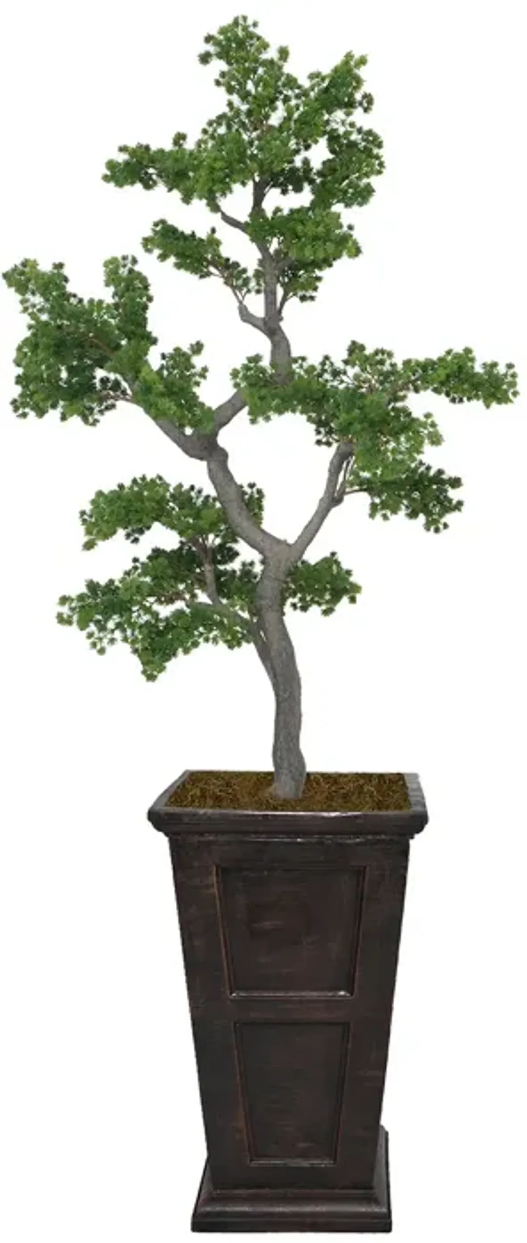 furniture4-523011