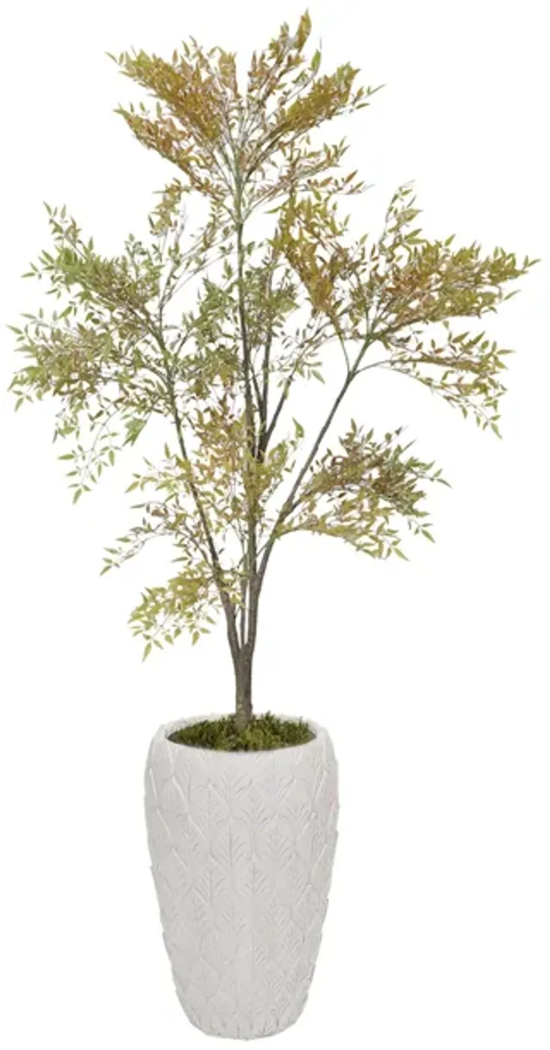 furniture4-524794