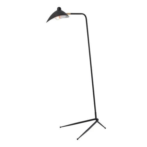 studiolx11-450705