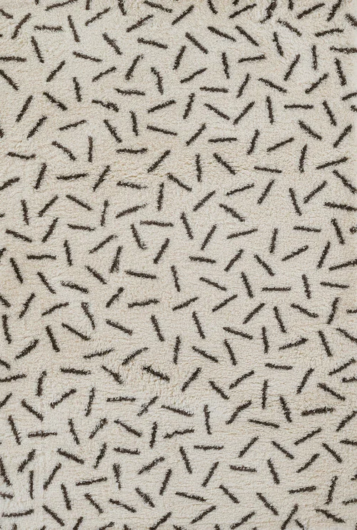 studiolx12-451372