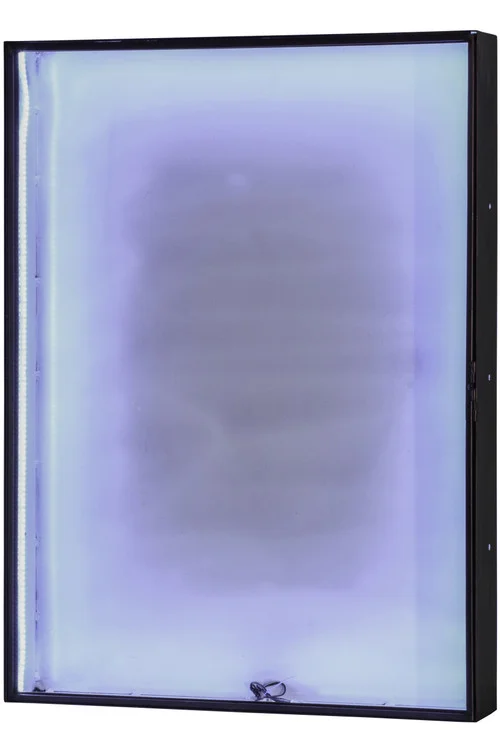 studiolx4-58208
