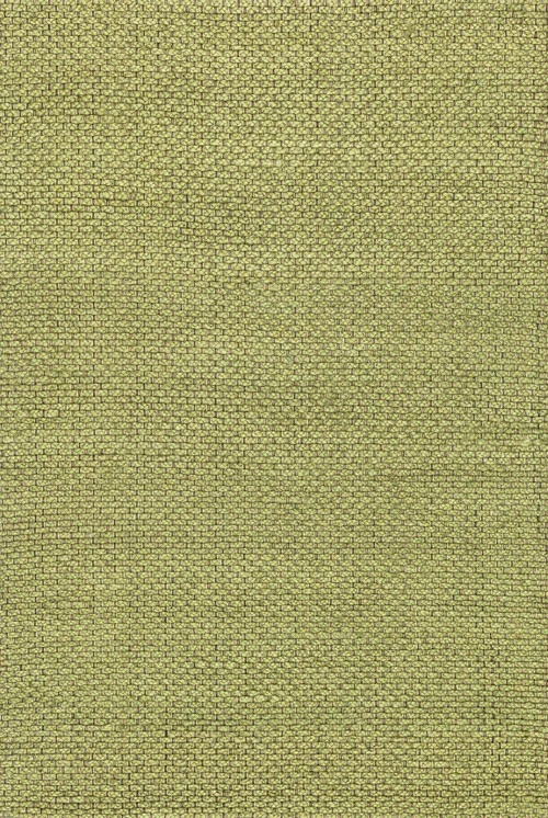 studiolx5-63792